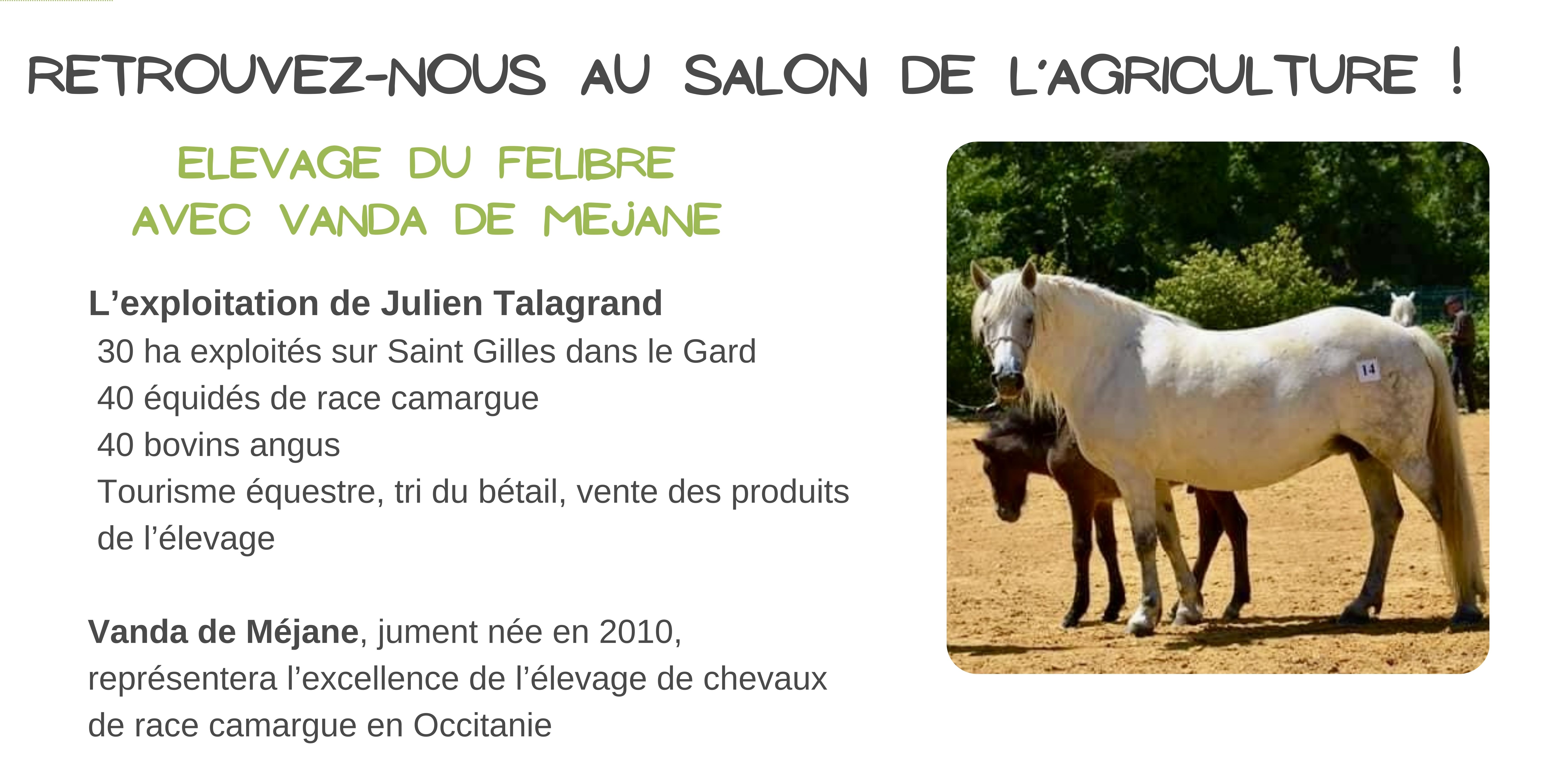 Elevage du Felibre